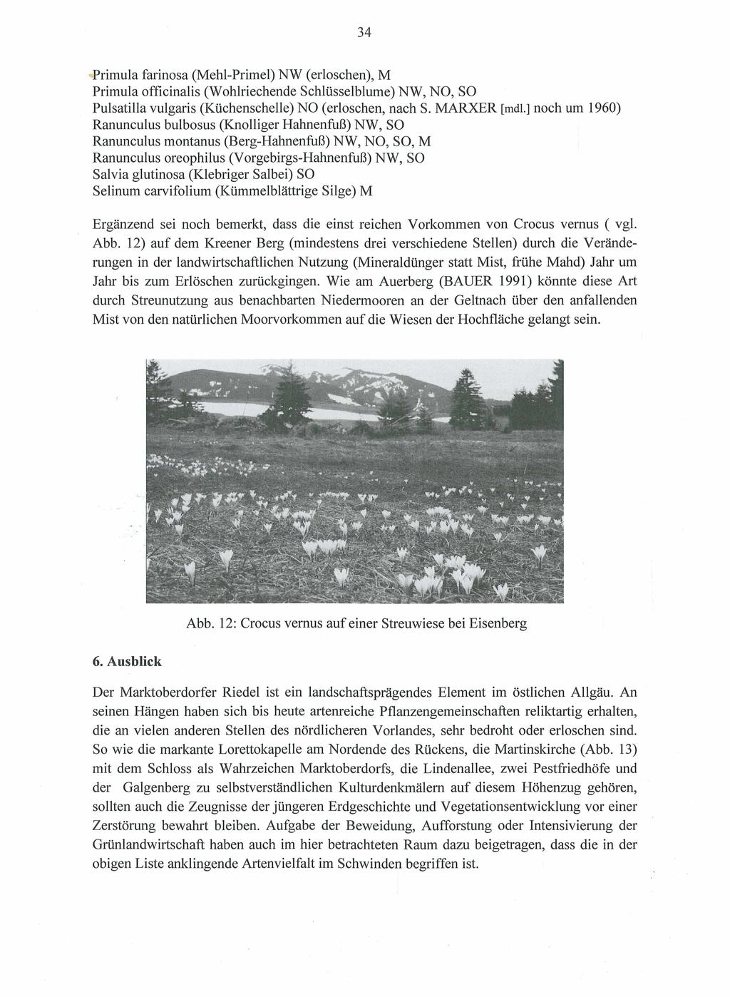34 Primula farinosa (Mehl-Primel) NW (erloschen), M Primula officinalis (Wohlriechende Schlüsselblume) NW, NO, SO Pulsatilla vulgaris (Küchenschelle) NO (erloschen, nach S. MARXER [mdl.