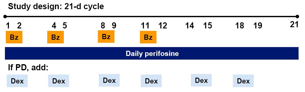 Perifosin Patienten mit Relaps oder therapierefraktär auf Bortezomib Dex 40 mg po an Tagen 1,8,15,22 falls kein Ansprechen Primärer Endpunkt Phase I: