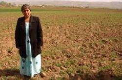 IV. ALLTAGSRELEVANZ VON CEDAW (IV) Landrechte von Frauen in Kyrgyzstan/Tajikistan Privatisierungsprozess De facto