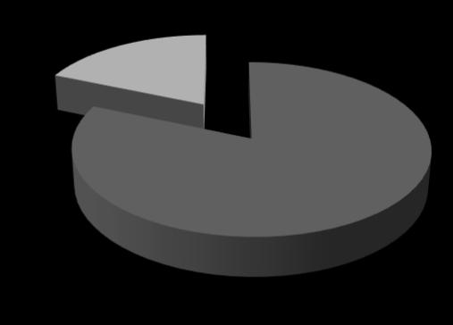 3.3. Charakterisierung der Gruppe der Betroffenen 253/796 (31,78%) der Befragten gehörten zur Gruppe der Betroffenen.