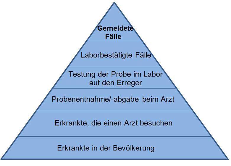 Dunkelziffernschätzung Haagsma, J. A., et al. (2012).