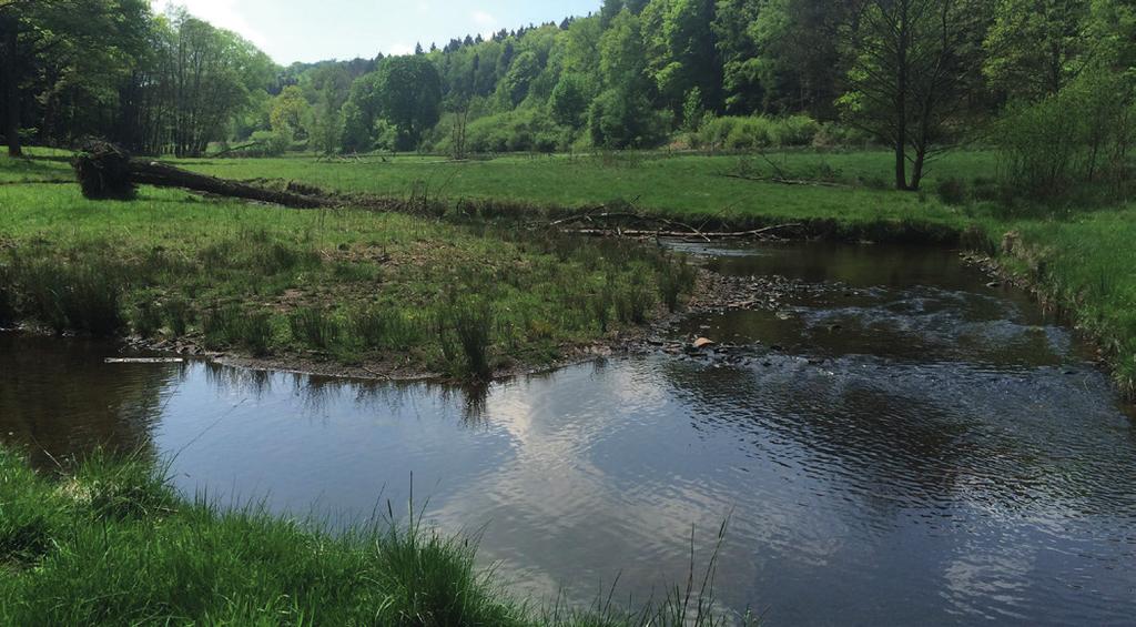 Landesamt für Natur, Umwelt und Verbraucherschutz Nordrhein-Westfalen Leibnizstraße