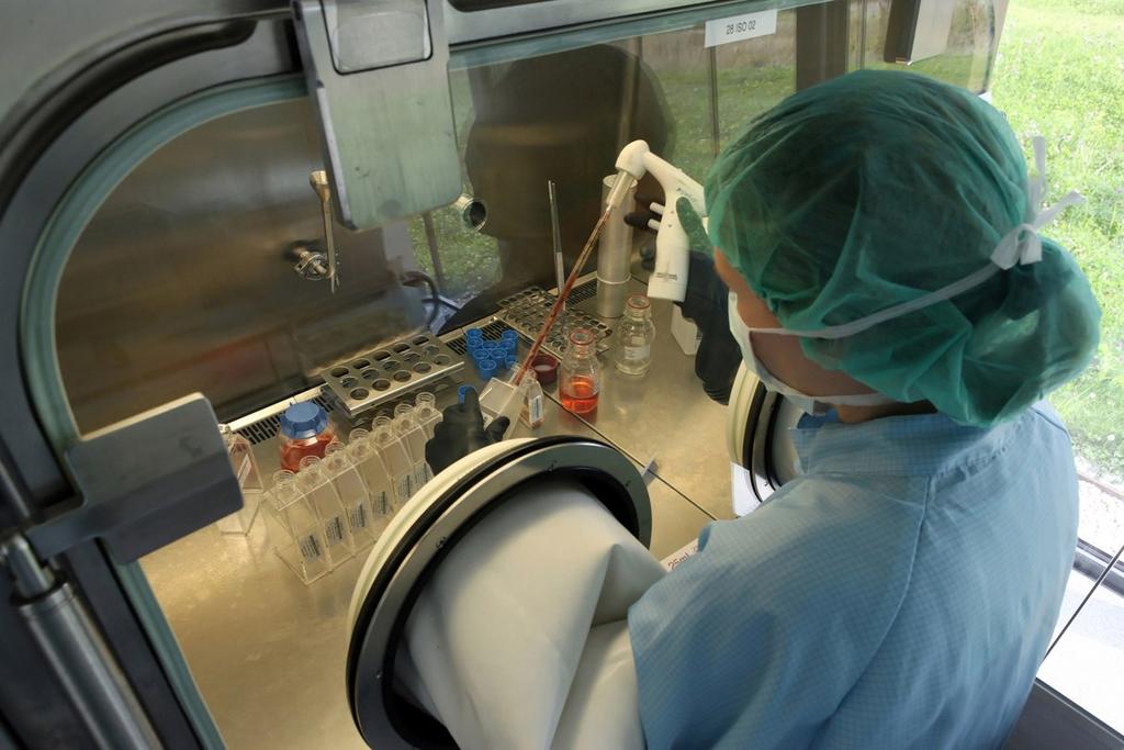 Zellzüchtung in vitro Herstellung erfolgt nach GMP-Richtlinien im Labor der TETEC AG Verwendung der mittleren Knorpelschicht Isolierung der