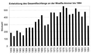 (2007) Äsche Entwicklung der Fänge in Südbayern ab 1975-1999 Bestandsrückgang der Äsche in Südbayern bis