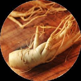 Koreanischer Roter Ginseng Kein relevantes Interaktionspotential Koreanischer Roter Ginseng führt nicht zu klinisch relevanten Interaktionen mit wichtigen Cytochrom P450 (CYP)-Enzymen und dem