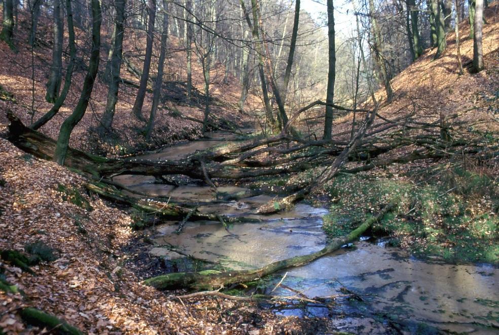 LUA NRW 1999: sandgeprägtes