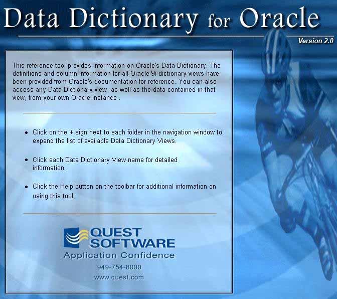 2. Data Dictionary for Oracle Seite 6