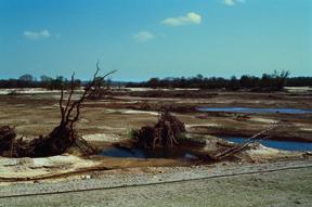 Deutlich als Ausbuchtung am Südostufer des Goitzschesees sichtbar ist der während des Hochwassers im August 2002 von der Vereinigten Mulde aufgeschüttete und rund 200 Meter in den See hineinreichende