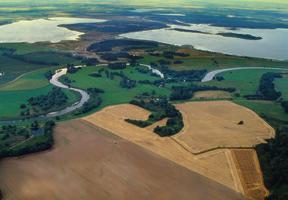 Nach dem Durchbrechen des Deiches durchschnitt die Mulde das in der historischen Muldenaue liegende Naturschutzgebiet»Die Hufe«mit gemischtem Laubwald (im Bild sichtbar links vom Schwemmkegel).