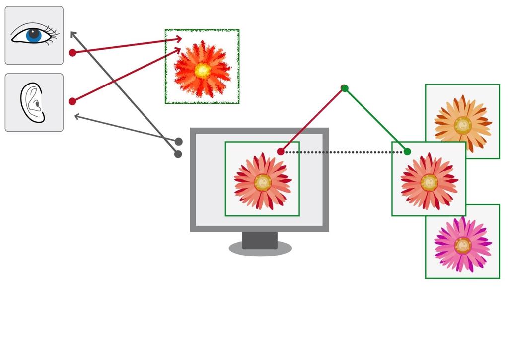 10. Vorstellung/Schema Begriff 10.1 und -Technik Interpretant (Bildungssinn) 10.