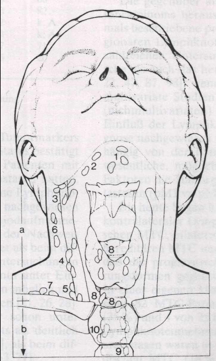 7. supraclaviculäre LKG: supraclaviculäre Lymphknoten, zusammen mit 6 als Lymphknoten des dorsalen Halsdreiecks bezeichnet, laterale Grenze ist der M. trapezius 8.