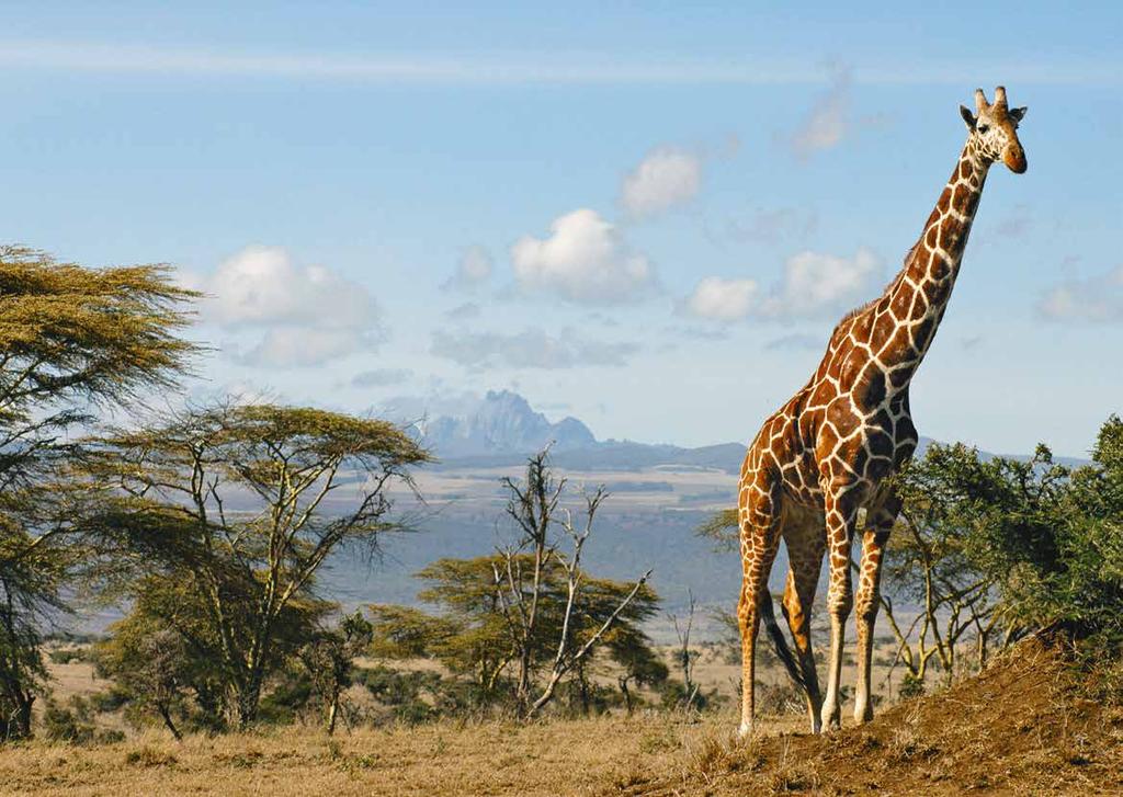LEWA SAVANNE EIN STÜCK AFRIKA Als einer der weltweit führenden Zoos setzen wir uns hohe Ziele.