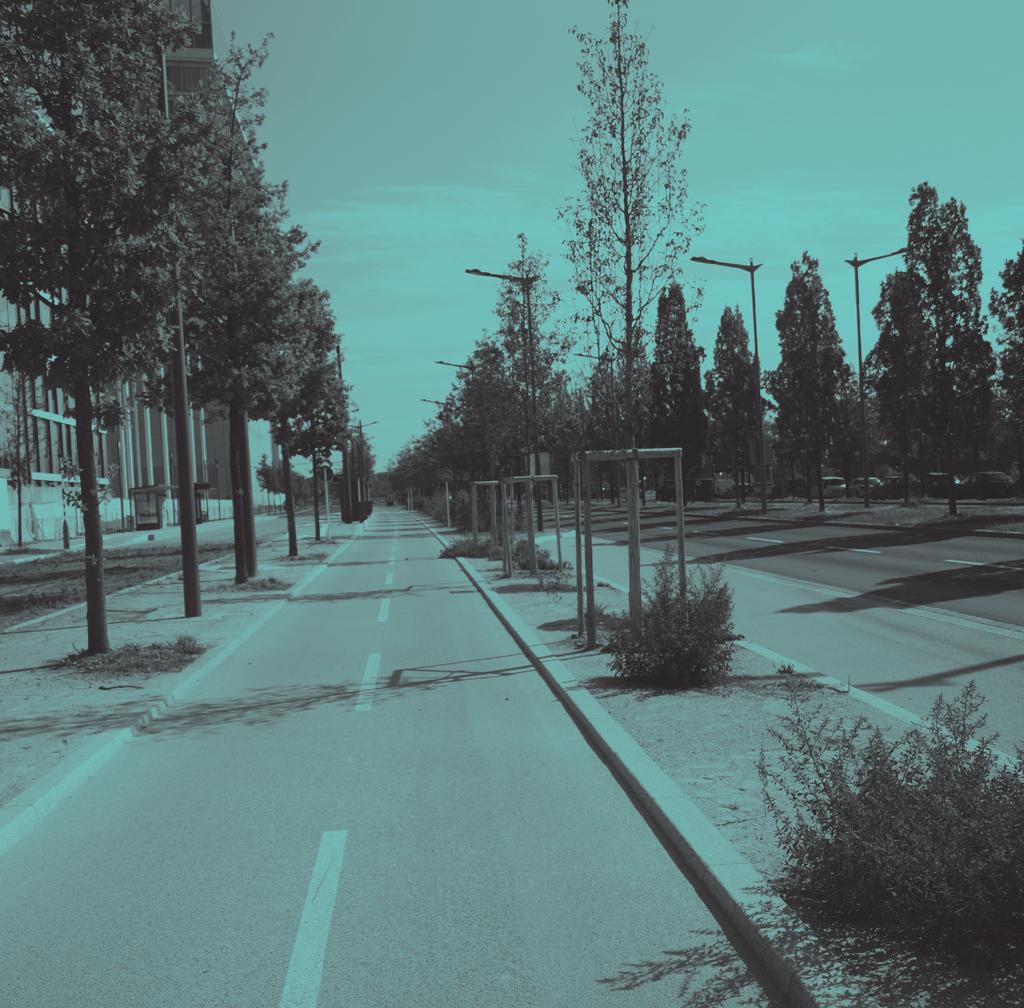 Empfehlungen für Radverkehrsanlagen in Luxemburg Recommandations pour aménagements cyclables au Luxembourg I - 06 RADWEG ZWEIRICHTUNGSVERKEHR PISTE CYCABLE BIDIRECTIONELLE Radwege im