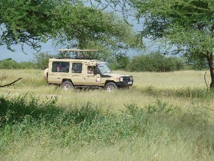 Danach geht es um 10:00 Uhr mit der KLM non stop zum Kilimanjaro Interntl. Airport - Landung gegen 19:30 Uhr.