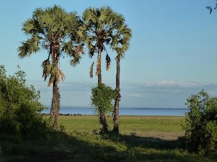 Am frühen Nachmittag starten wir über Makayuni und Mto wa Mbu zur hoch über dem Lake Manyara gelegenen Serena