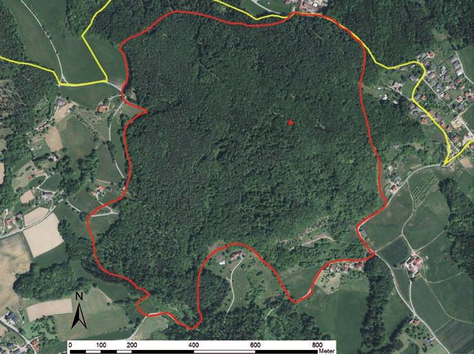 2: Umgrenzung des Erhebungsgebietes am Hauenstein (rot); das rote Dreieck
