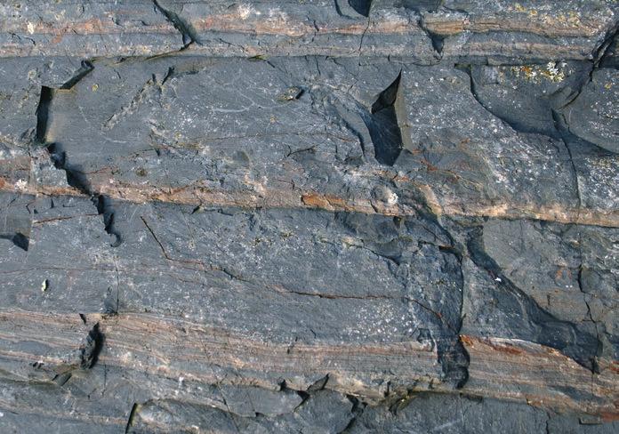 Turbidit Karbon 330 Sedimentgestein, das durch untermeerische Lawinen entstand An untermeerischen Hängen haben beispielsweise Seebeben große Rutschungen ausgelöst.