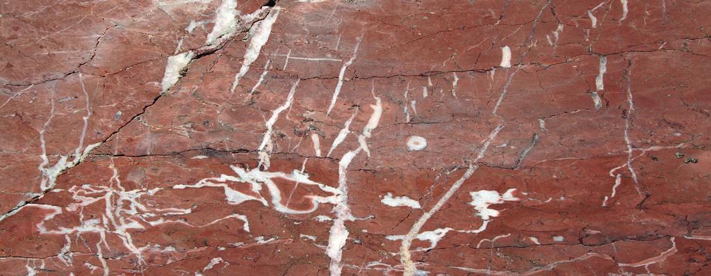Flaserkalk & Co. Tegauer Devonkalk Devon 370 Ziegelroter Kalkstein mit auffälligen weißen Adern; die rötliche Farbe wird von fein verteiltem Eisenerz verursacht.