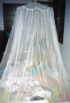 Malariaprophylaxe und Schwangerschaftswunsch Unter Malariaprophylaxe (z.b. bei Urlaubsreisen) sollte grundsätzlich eine geplante Schwangerschaft zurückgestellt werden.