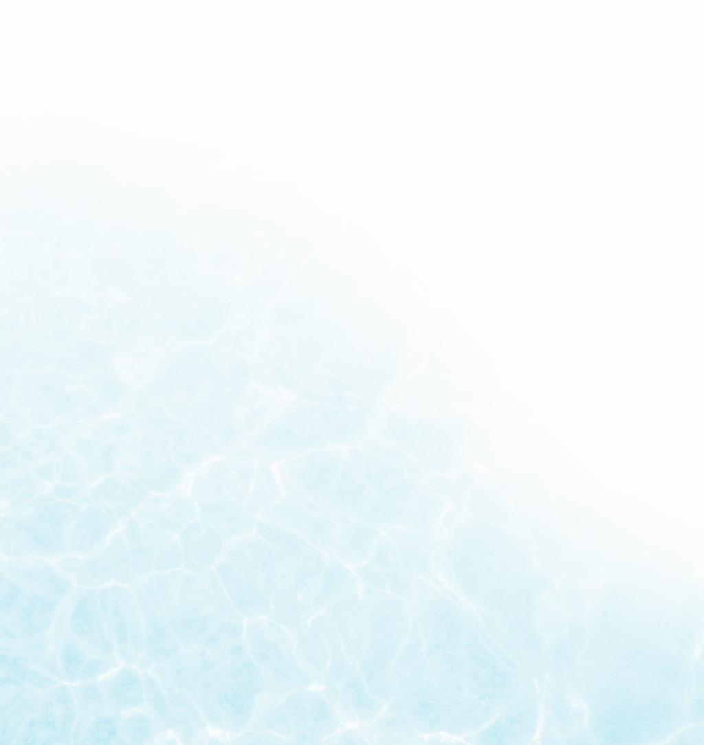 Whirl-Pool-Set m i t L a n g z e i t d e p o x t o h n e C h l o r Komplette Wasserpflege für Whirl-Pools mit Aktivsauerstoff Anwendungsbereich: Das Whirl-Pool-Set bietet zur chlorfreien