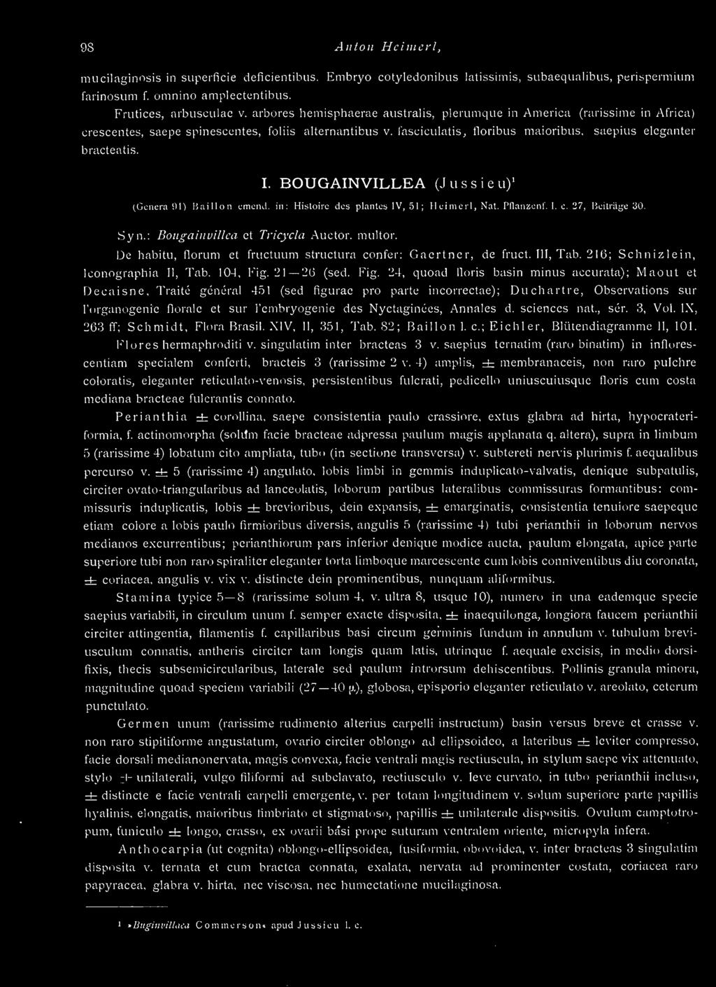 BOUGAINVILLEA (Jussieu)' (Genera ill) Buillon emend. in: Histoire des plantes IV, 51; Ileinicrl, Nat. Pllanücnr. I. c. '37, Bcitiäye 30. Syn.: Boitgainvillca et Tricycla Auetor. multor.