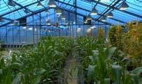 Agricultural Sciences in
