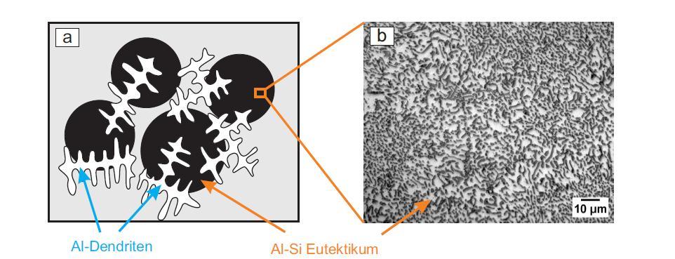 Al-Si Eutektikum Eutektische Zellen Veredelte Legierung Al - Dendriten Al-Si Eutektikum Quelle: Timpel M.: Einfluss von Strontium auf die Mikrostruktur von Aluminium-Silizium Legierungen.