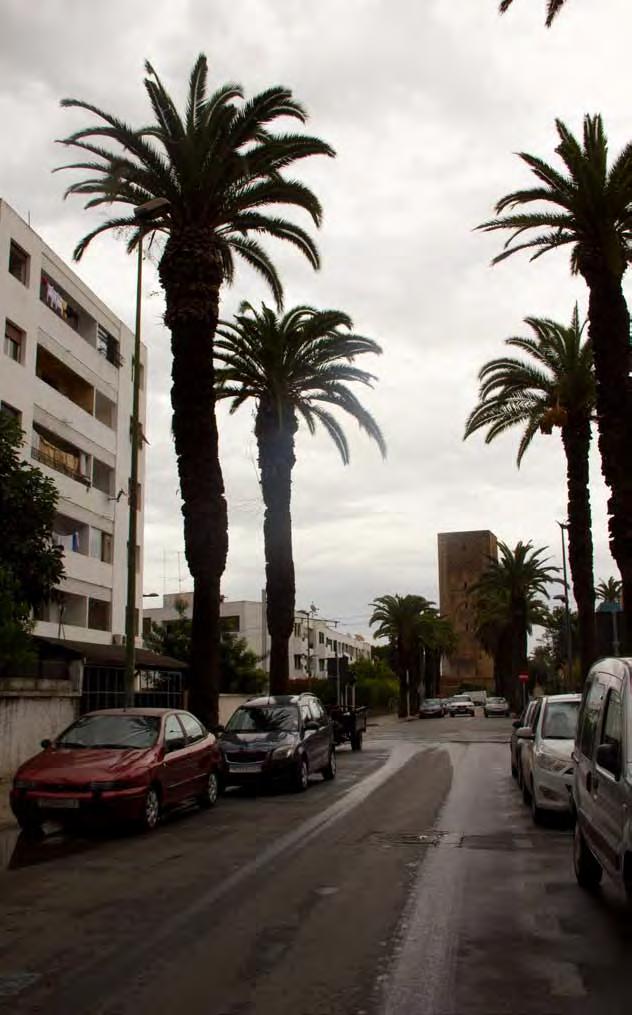 meine Straße mit Blick auf den Hassanturm In Rabat wurden meine Mitfreiwillige und -bewohnerin und ich von unserem zukünftigem Chef und Nachbarn vom Bahnhof abgeholt und bis zur Wohnungstür gebracht.