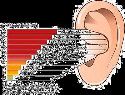 Hören Ohren sind nicht ausrichtbar nicht schließbar Akustische Reize sind immer da und mischen sich