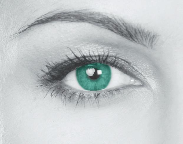 für Ihre Augen Schutz für Ihr wichtigstes Sinnesorgan - denn jede Sekunde zählt 90% der Sinneseindrücke werden über das Auge aufgenommen.