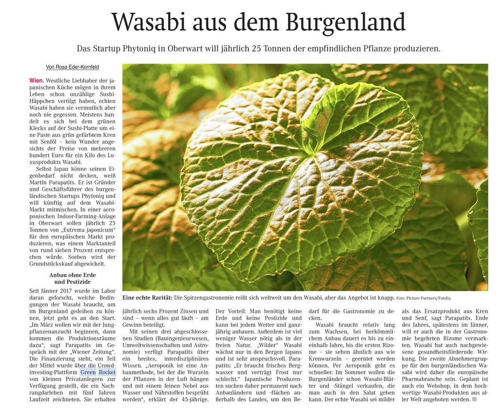 Wasabi aus dem Burgenland Wiener Zeitung/Gesamt Seite 33 24.