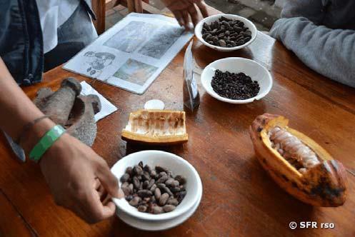 Unterwegs besuchen Sie eine ökologische Kakao Farm, um den Prozess der Herstellung der Kakaopaste kennenzulernen und auf Wunsch selbst Hand anzulegen.