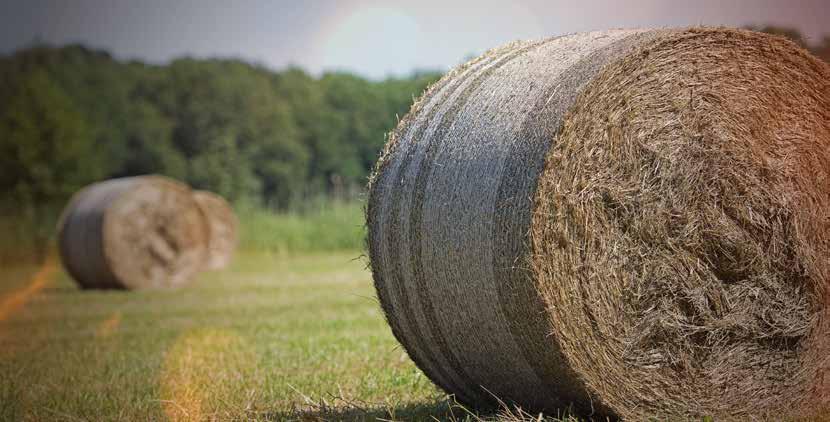 BALLENFORMUNG PERFEKTE BALLENFORMUNG Wer in jeder Saison zahlreiche Silage-, Heu- und Strohballen produziert, braucht dafür die richtige Maschine.