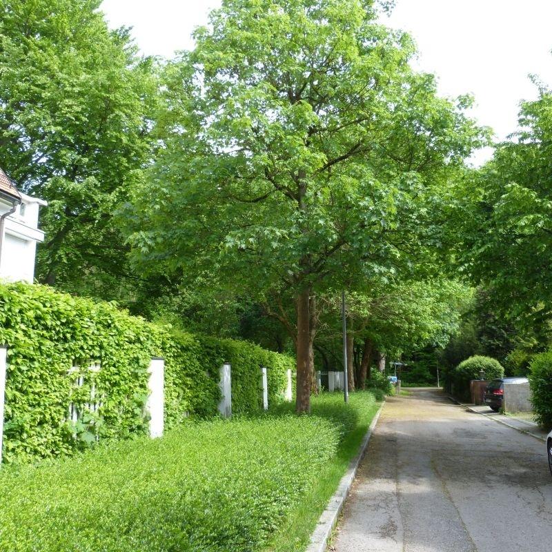 Anliegerstraße - Sackgasse