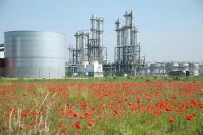 Bioethanolproduktion Produktionskapazitäten > 700.000 m³ Bioethanol im Jahr > 500.000 t Lebens- und Futtermittel p.a. 100.