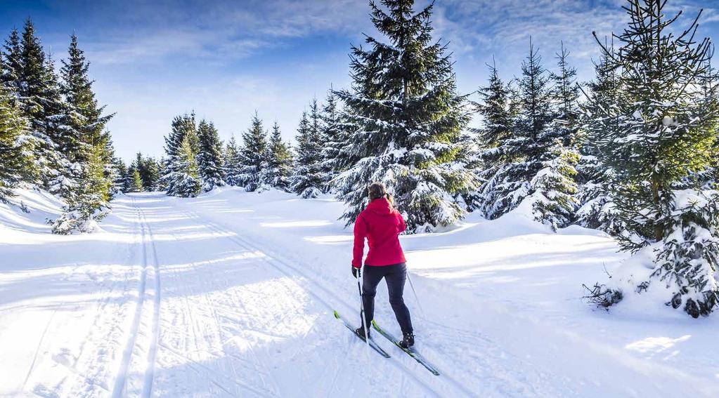 A CASA ELEMENTS SERFAUS Sie sind auf der Suche nach Ihrem eigenen Ferienappartement oder Chalet inmitten eines international renommierten Ski- und Wandergebiets?
