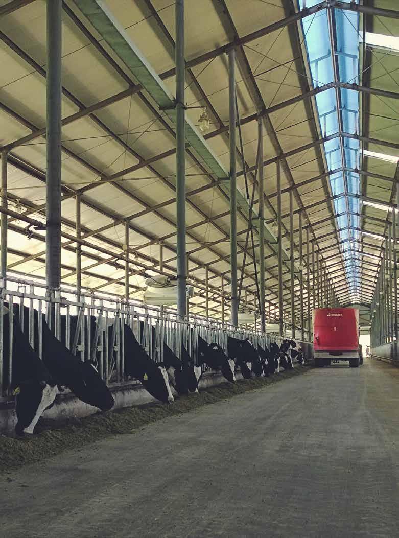 Kühe gefüttert Etwa 85 % der Maschinen werden