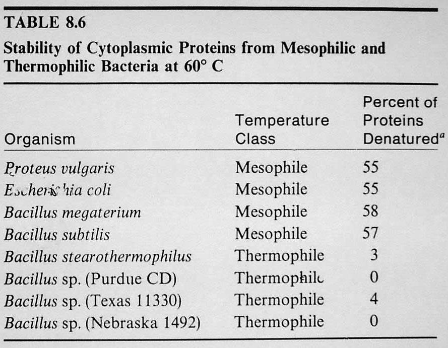 Proteinstabilität Die Wachstumstemperatur hängt von der Stabilität der Proteine des Organismus gegen Hitzedenaturierung ab.