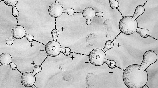 von kovalenten Bindungen), aber die Masse machts Wasserstoffbrücken stabilisieren die Raumstruktur von Proteinen und den DNA-Doppelstrang