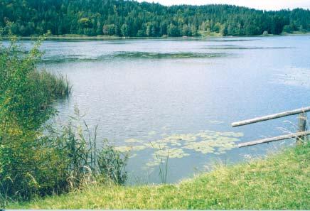 Goggausee / Gösselsdorfer See Hygienische Beurteilung Keine der insgesamt 5 während der Badesaison 2005 am Goggausee entnommenen Proben wies Richt- oder Grenzwertüberschreitungen auf.