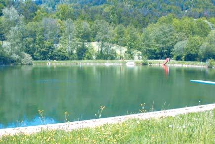 Pirkdorfer See / Pischeldorfer Badeteich als Badegewässer hin untersucht. In keiner der entnommenen Proben konnten Richt- oder Grenzwertüberschreitungen festgestellt werden.