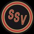 4 Spandauer SV 4 Der heutige Spandauer SV entstand im Jahr 1920 unter dem Namen Spandauer Sport- Vereinigung 94/95 durch die Fusion der beiden Vereine Spandauer Thor- und Fußballclub Triton und