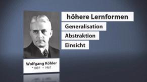 Höhere Lernformen Laufzeit: 8:10 min, 2019 Lernziele: - Einsicht, Abstraktion und Generalisation als notwendige Fähigkeiten für die Erbringung höherer Lernformen erkennen; - Soziale Lernformen bis