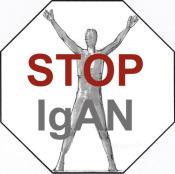 Rekrutierungsverlauf STOP IgAN - Stand 31.
