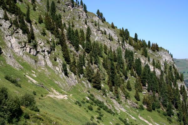 Vorbei an einem Marterl geht nochmals etwas steiler hinauf und wir stehen vor der Gamshütte.