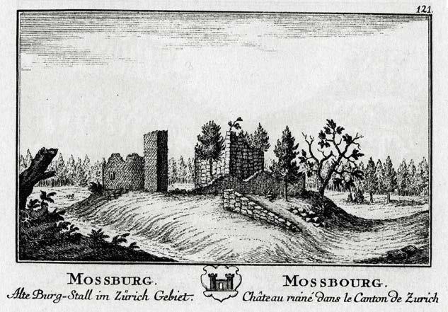 - können Vermutungen zu Vor- und Nachteilen des Standorts der Moosburg formulieren.