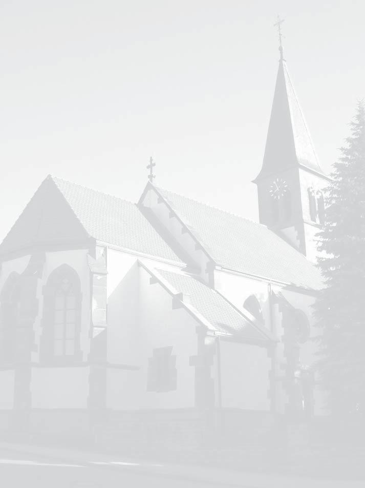Stellenausschreibung Die Kirchengemeinde Bieselsberg sucht zum 1. November 2011 eine/n Mesnerin/Mesner in Teilzeit für 5,82 Stunden in der Woche Ihr Profil: - Verbundenheit mit der Arbeit der ev.