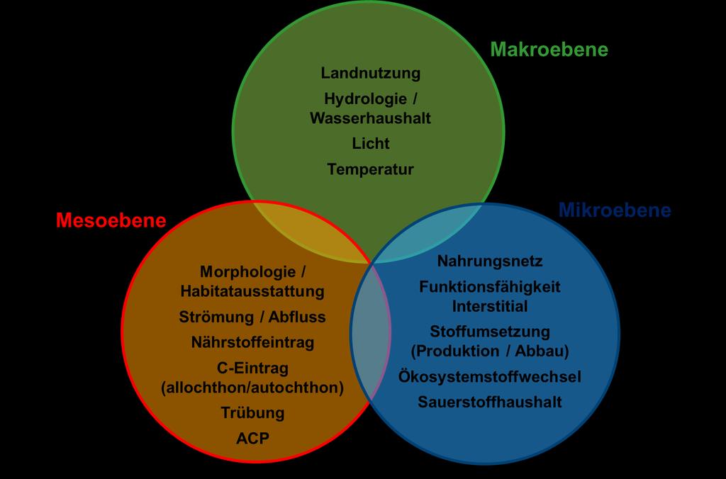 Abbildung 1: Schematische Darstellung von Einflussfaktoren auf die Trophie und deren räumliche Wirkungsskala. ACP = allgemeine chemische und physikalische Qualitätskomponenten.