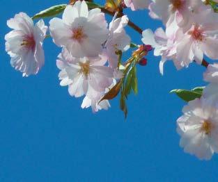 Tief bewegt von der Anteilnahme und den zahlreichen Beweisen, die uns durch so viel Liebe und einfühlsame Gespräche, durch tröstend geschriebene Worte, stillen Händedruck, Blumen und Geldzuwendungen