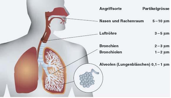 Grenzwerte für Partikel ohne Schranken Typische Grössen in nm (=10-9 m =10-3 µm ) Festpartikel in Dieselabgas: 40 100 Viren: 10